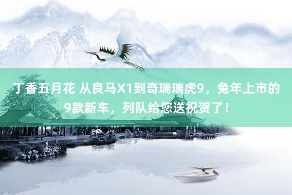 丁香五月花 从良马X1到奇瑞瑞虎9，兔年上市的9款新车，列队给您送祝贺了！