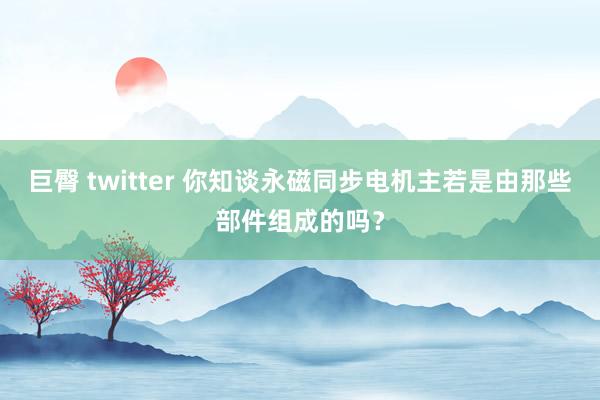 巨臀 twitter 你知谈永磁同步电机主若是由那些部件组成的吗？