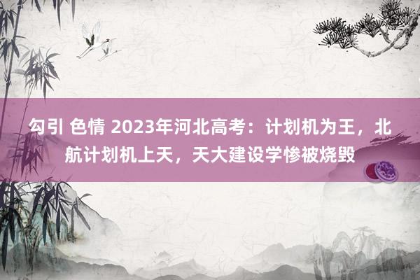 勾引 色情 2023年河北高考：计划机为王，北航计划机上天，天大建设学惨被烧毁