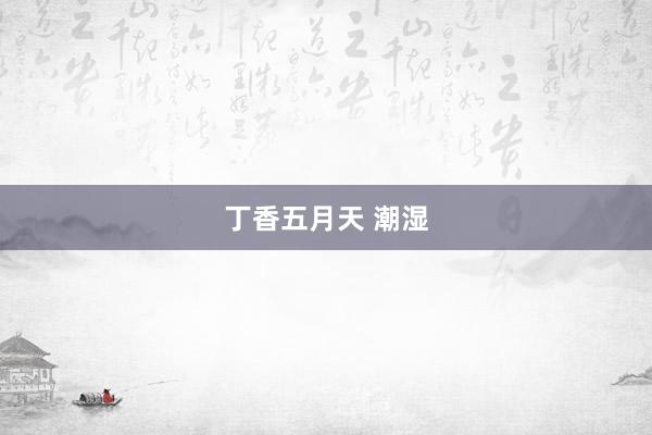 丁香五月天 潮湿