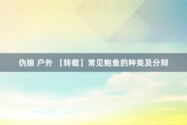 伪娘 户外 【转载】常见鲍鱼的种类及分辩