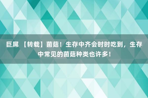 巨屌 【转载】菌菇！生存中齐会时时吃到，生存中常见的菌菇种类也许多！