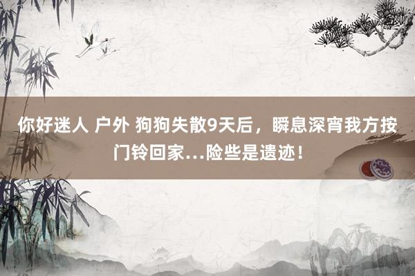 你好迷人 户外 狗狗失散9天后，瞬息深宵我方按门铃回家…险些是遗迹！