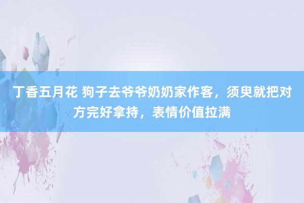 丁香五月花 狗子去爷爷奶奶家作客，须臾就把对方完好拿持，表情价值拉满