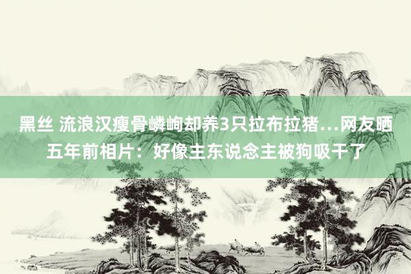 黑丝 流浪汉瘦骨嶙峋却养3只拉布拉猪…网友晒五年前相片：好像主东说念主被狗吸干了
