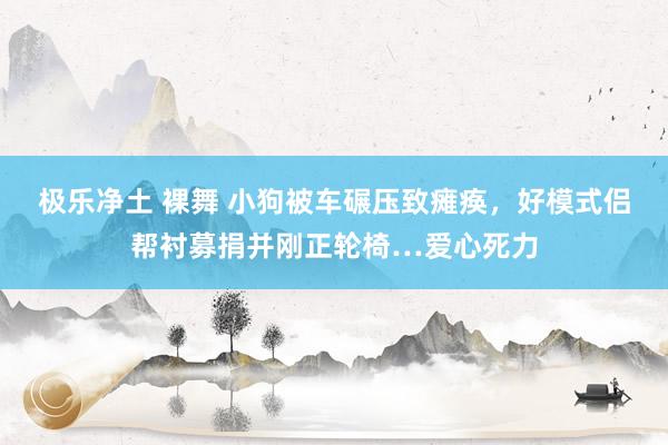 极乐净土 裸舞 小狗被车碾压致瘫痪，好模式侣帮衬募捐并刚正轮椅…爱心死力