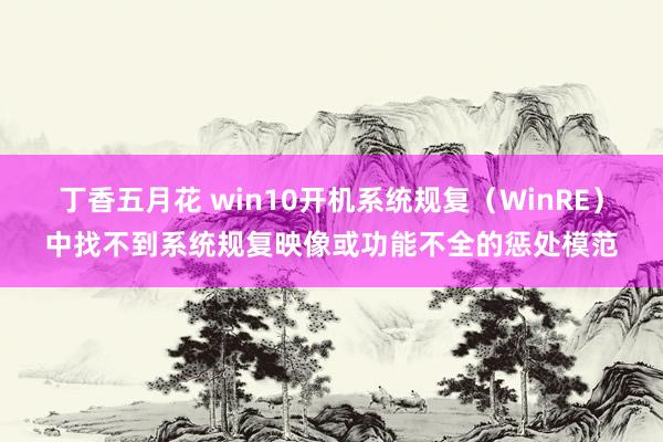 丁香五月花 win10开机系统规复（WinRE）中找不到系统规复映像或功能不全的惩处模范