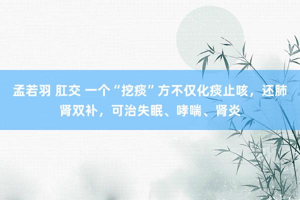孟若羽 肛交 一个“挖痰”方不仅化痰止咳，还肺肾双补，可治失眠、哮喘、肾炎